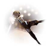 Shure BETA 181/S – Side-Address Supercardioid Condenser Microphone Microphones Shure
