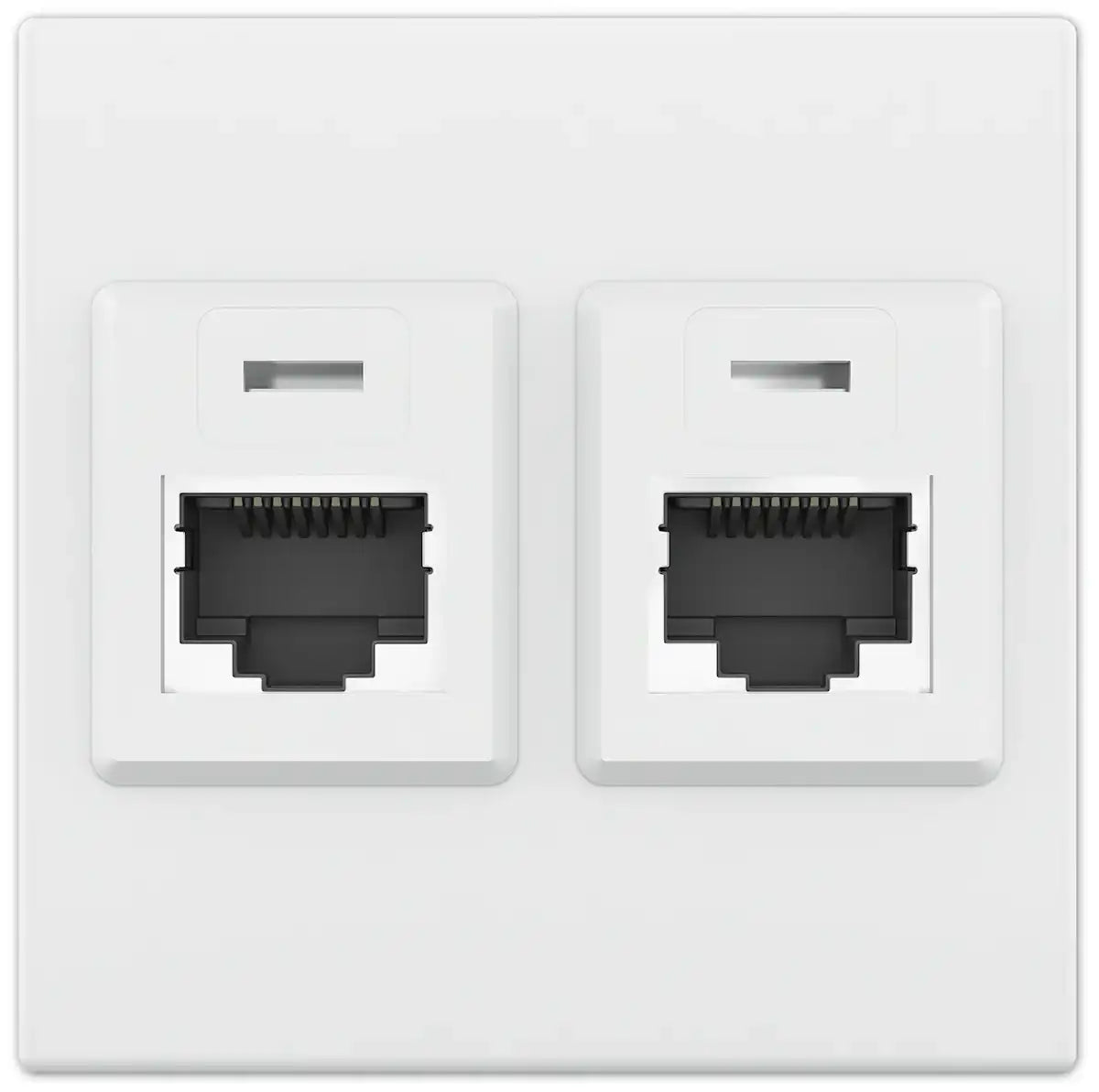 Extron Blank Two-Keystone AV Connectivity Plate Black control Extron