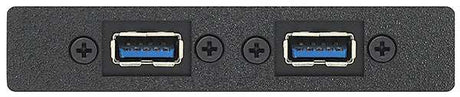 Extron AAP 2USBAF2USBBF10 - Architectural Adapter Plate with Dual USB-A Female and Dual USB-B Female Black Audio & Video Cables Extron