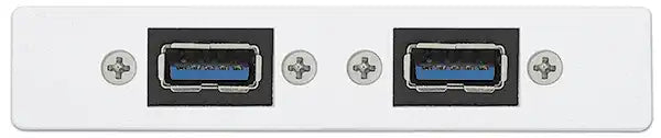 Extron AAP 2USBAF2USBBF10 - Architectural Adapter Plate with Dual USB-A Female and Dual USB-B Female Black Audio & Video Cables Extron