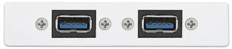 Extron AAP 2USBAF2USBBF10 - Architectural Adapter Plate with Dual USB-A Female and Dual USB-B Female Black Audio & Video Cables Extron