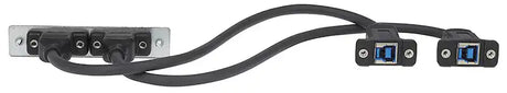 Extron AAP 2USBAF2USBBF10 - Architectural Adapter Plate with Dual USB-A Female and Dual USB-B Female Black Audio & Video Cables Extron