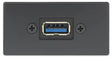 Extron USBBF2USBAFP USB-A Female to USB-B Female on 10" Pigtail Flex55 Module Black Audio & Video Cables Extron