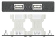 Extron AAP 2USBAFUSBBFA - Architectural Adapter Plate with Dual USB-A Female and USB-B Female Audio & Video Cables Extron