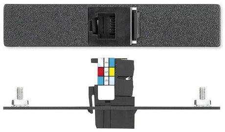 Extron AAP1RJ11FPDBP One RJ-11 Female to Punch Down - Phone AAP Module Audio & Video Cables Extron