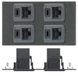 Extron AAP 4 RJ-45 FFB Pass-Through Plate Black Audio & Video Cables Extron