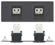 Extron AAP 2FDL-CFF - Architectural Adapter Plate with Dual Feed-Through and Latching Connectors Audio & Video Cables Extron