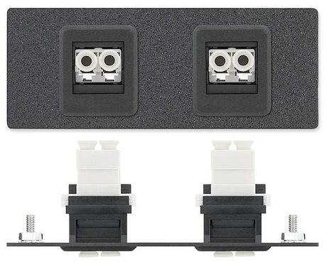 Extron AAP 2FDL-CFF - Architectural Adapter Plate with Dual Feed-Through and Latching Connectors Audio & Video Cables Extron