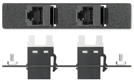 Extron AAP 2RJ45FPDBDA - Architectural Adapter Plate with Dual RJ-45 and Feed-Through Audio & Video Cables Extron