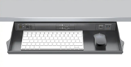 Extron AC NET AAP AC Power and Network Connectivity Module EU - Black Power Extron