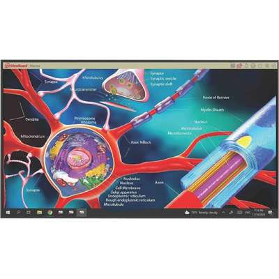 ViewSonic TeamJoin™ TRS10 With Display Bundle – Model CDE6530‑MTR (65″ 4K Display, Compute Engine MPC310‑W31‑TU & Touch Console MRC1010‑TN) Interactive Displays ViewSonic