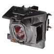 ViewSonic RLC-109 Replacement Projector Lamp for PA503W, PG603W, VS16907, PS501W, PS600W – 190W UHP OEM Module, 90-Day Warranty. ViewSonic