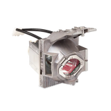 ViewSonic RLC-123 Replacement Projector Lamp for PX701HDP, PX703HD, PX703HDH – 240W, OEM Module, 90-Day Warranty, 0.7 lbs. ViewSonic