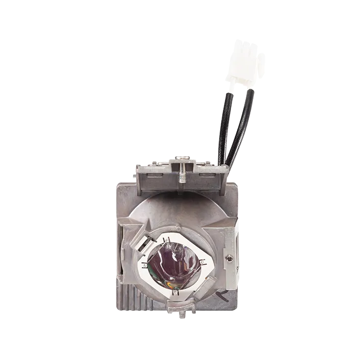 ViewSonic RLC-123 Replacement Projector Lamp for PX701HDP, PX703HD, PX703HDH – 240W, OEM Module, 90-Day Warranty, 0.7 lbs. ViewSonic