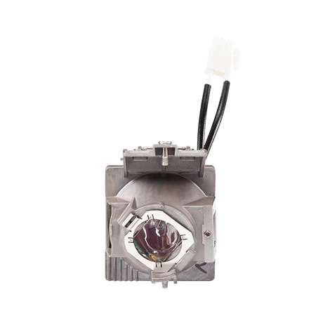 ViewSonic RLC-123 Replacement Projector Lamp for PX701HDP, PX703HD, PX703HDH – 240W, OEM Module, 90-Day Warranty, 0.7 lbs. ViewSonic