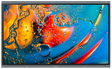 ClearTouch CTI-6075A+UH40 75" 6000A+ Interactive Flat Panel Display Interactive Displays ClearTouch