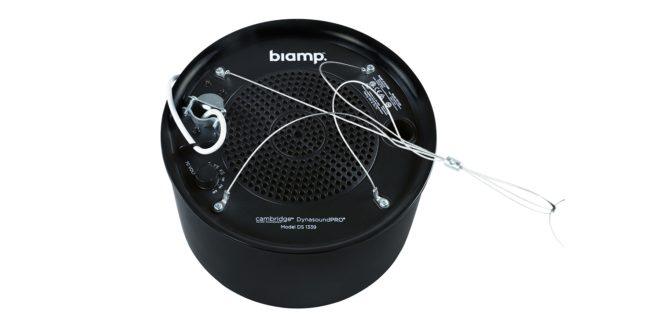 Biamp Cambridge DS1357B 8 Ohm plenum loudspeaker (Black) - 911.0712.900