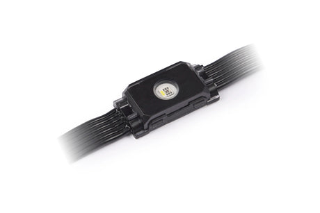 Martin Exterior Dot-1 Pro – IP67 Outdoor RGBW Pixel Dot String, 100pcs 2m Lead Outdoor LED Fixtures Martin