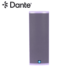 Renkus-Heinz TA61-RD 2-Way Loudspeaker 6.5" LF, 1" HF, powered with RHAON & Dante Redundant, SA625-RD Amp Module