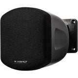 ASHLY AW2.1P 2.5" Full Range Mini Speakers (Pair, Black) - Creation Networks