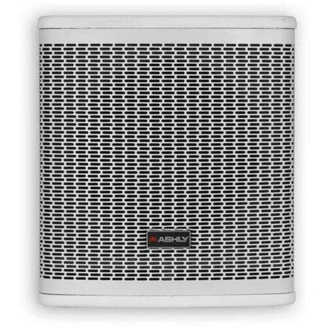 ASHLY SP8.1PW 8" Extended Dynamics Passive Flyable or Floor Standing Subwoofer (White) - Creation Networks
