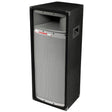 Atlas Sound TP2400 Dual 12" 2-Way Professional Loudspeaker System 200W RMS 4 - Creation Networks
