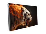 Barco LVD-5521C Barco 55" Extreme Narrow Bezel LCD Video Wall (500 Nits) - R9867808B - Creation Networks
