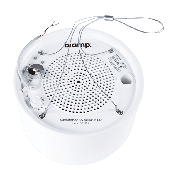 Biamp Cambridge DS1339W 70V plenum loudspeaker (White) - 911.0709.900 - Creation Networks