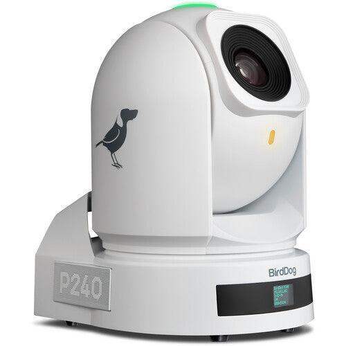 BirdDog P240 40X Full NDI PTZ 3-Camera Bundle (White) - BDP240BUNDLE-WWW - Creation Networks
