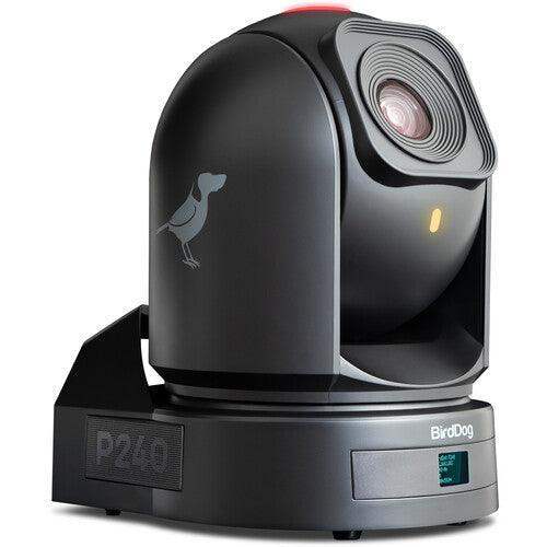BirdDog P240 40X Full NDI PTZ Camera Bundle (2 x Black, 1 x White) - BDP240BUNDLE-WBB - Creation Networks