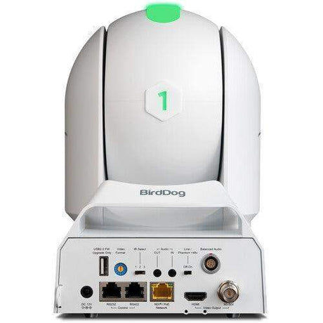 BirdDog P240 40X Full NDI PTZ Camera Bundle (2 x Black, 1 x White) - BDP240BUNDLE-WBB - Creation Networks