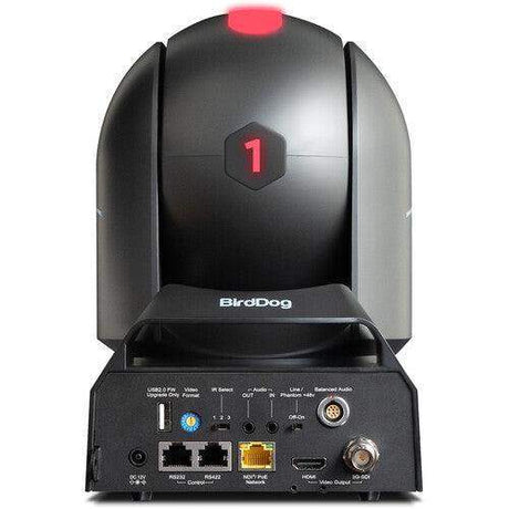 BirdDog P240 40X Full NDI PTZ Camera Bundle (2 x White, 1 x Black) - BDP240BUNDLE-WWB - Creation Networks