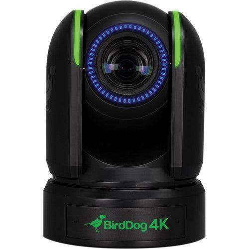 BirdDog P4K 4K Full NDI PTZ 3-Camera Kit (Black) - BDP4KBUNDLE-BBB - Creation Networks