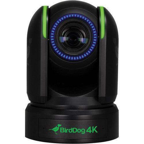 BirdDog P4K 4K Full NDI PTZ 3-Camera Kit (Black) - BDP4KBUNDLE-BBB - Creation Networks
