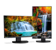 Sharp DD-EA242F – MultiSync DD-EA242F, 23.8" IPS LED backlit LCD Monitor with 3-sided Ultra Narrow Bezels, MultiSync EA Series Desktop LCD Sharp