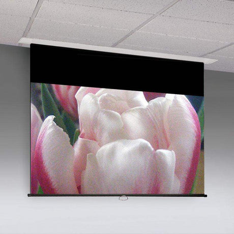 Draper Access V, 165", 16:10, Matt White XT1000VB, 110 V - 140040 - Creation Networks