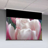 Draper Access V motorized ceiling-recessed projection screen