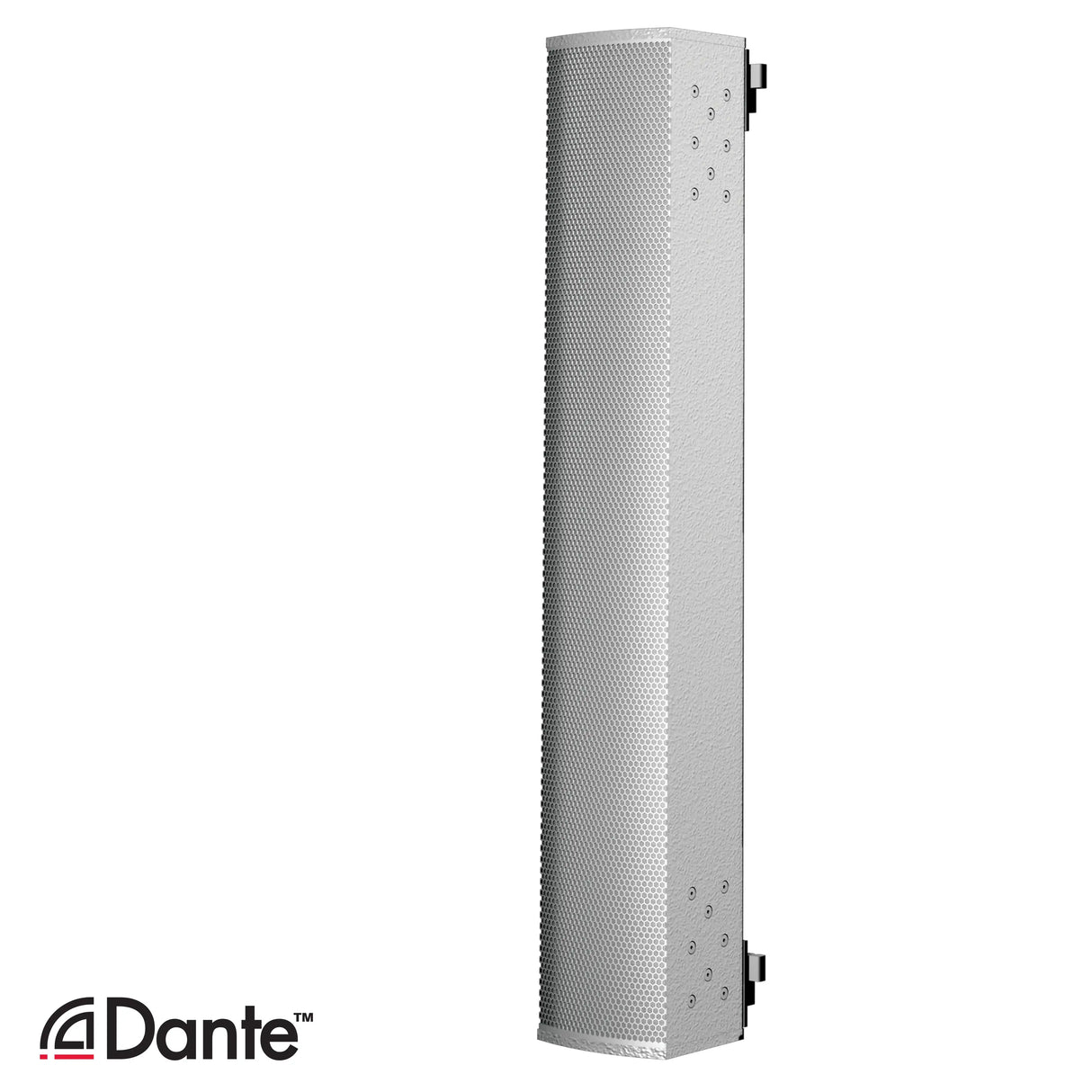 Renkus-Heinz ICL-F-DUAL-RD