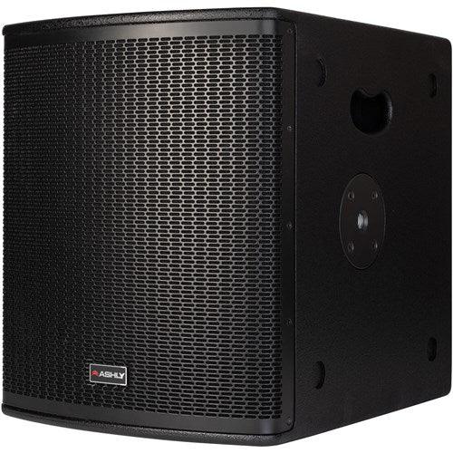 ASHLY SP12.1P 12" Extended Dynamics Passive Subwoofer (Black)