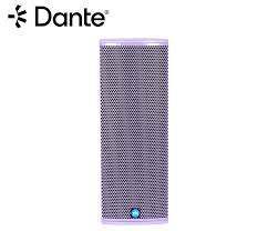 Renkus-Heinz TX82 2-Way Loudspeaker 2 x 8" LF, 1" HF, non-powered