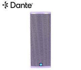 Renkus-Heinz TX82 2-Way Loudspeaker 2 x 8" LF, 1" HF, non-powered