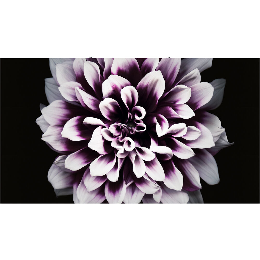 Samsung The Wall Professional P1.6 – 1.68mm Indoor LED Display Cabinet Indoor Samsung