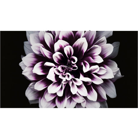 Samsung The Wall Professional P1.6 – 1.68mm Indoor LED Display Cabinet Indoor Samsung