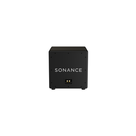 Sonance PPX12 – 12-Inch PowerPipe X Hidden Bass Subwoofer Subwoofers Sonance