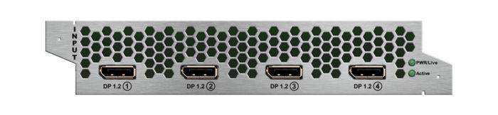 Lightware MX2M-DH-4DP12-IB DisplayPort 1.2 Input Board - 91120049 - Creation Networks