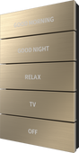 Crestron Horizon 2 Button Assembly, Style 1 – Custom Engraved, Brushed Brass Accessories Crestron