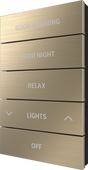 Crestron Horizon 2 Button Assembly, Style 3 – Custom Engraved, Brushed Brass Accessories Crestron