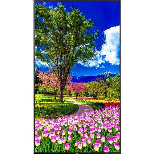 NEC M981 98" UHD 4K HDR Commercial Monitor - Creation Networks