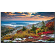 Panasonic TH-43CQE2U 43IN UHD 500cd/m2 LED LCD w/Tuner - Creation Networks