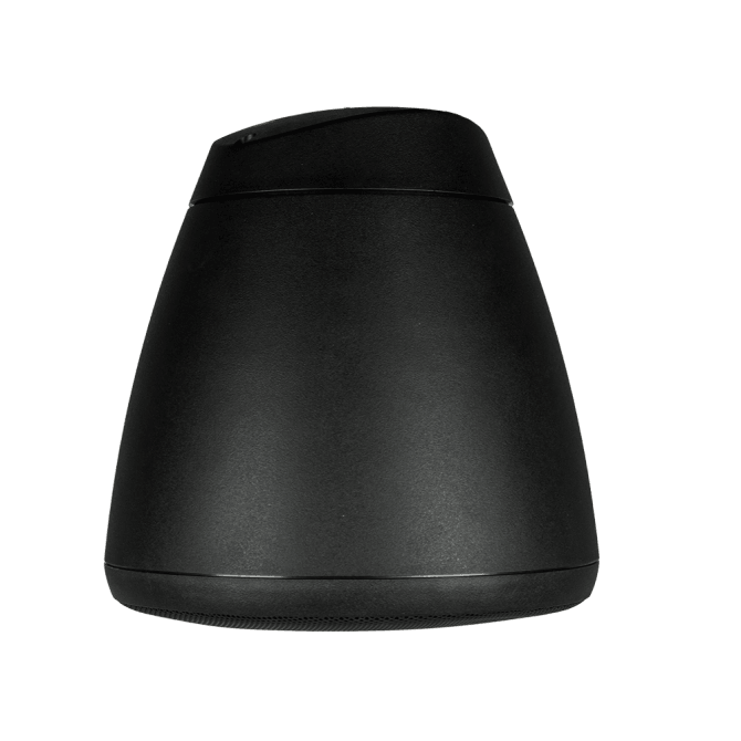 Soundtube RS62-EZ 6.5" Hanging Speaker